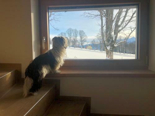 Apartamento Haus Am Berg