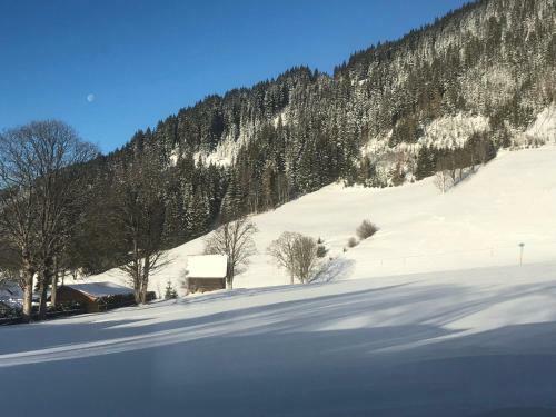 Apartamento Haus Am Berg