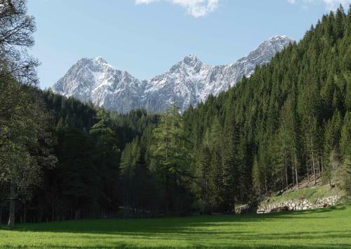 Alpenrose Boutique Chalet Gretl
