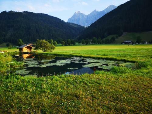 Apartamento Haus Feriengl�ck