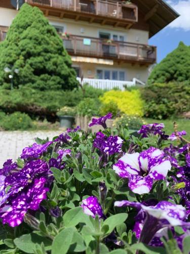 Apartamento Haus Anna