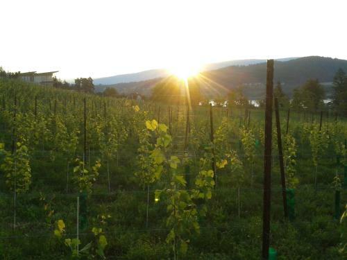 Bed & Breakfast L�ngseeleit'n