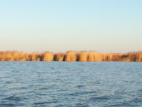Pfahlbau Rust/neusiedlersee Sunset I
