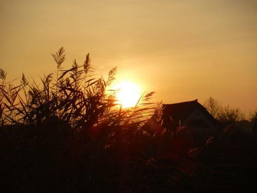 Pfahlbau Rust/neusiedlersee Sunset I