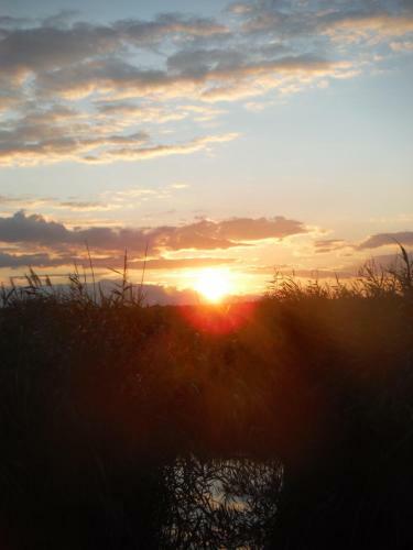 Pfahlbau Rust/neusiedlersee Sunset I
