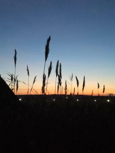Pfahlbau Rust/neusiedlersee Sunset I