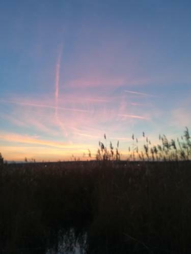 Pfahlbau Rust/neusiedlersee Sunset I