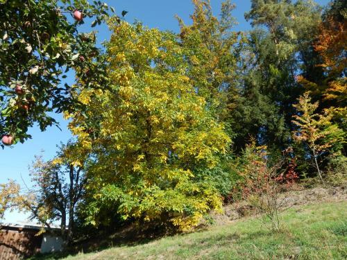 Apartamento Naturoase M�hlviertel