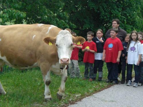 Agroturismo Urlaub Am Bauernhof Grabenhofer