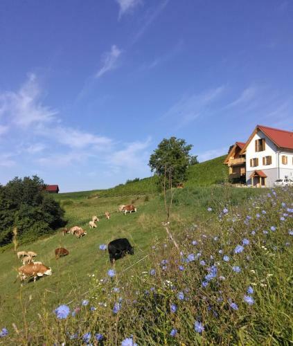Agroturismo Bauernhof Gschmeidler