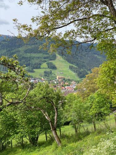 Apartamento Kreischblick