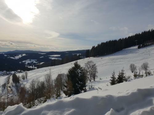 Waldheimath�tte