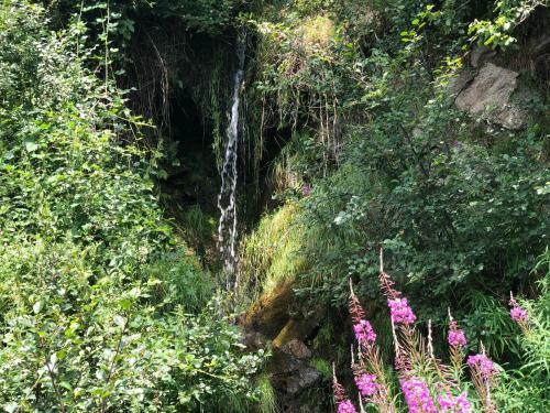Waldheimath�tte