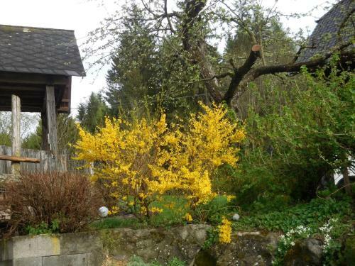 Agroturismo Steinerhof