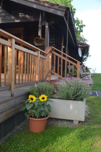 Apartamento Ferienhaus Andrea
