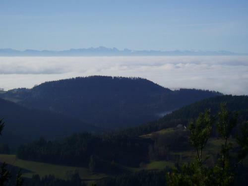 Bed & Breakfast G�stehaus Weitblick