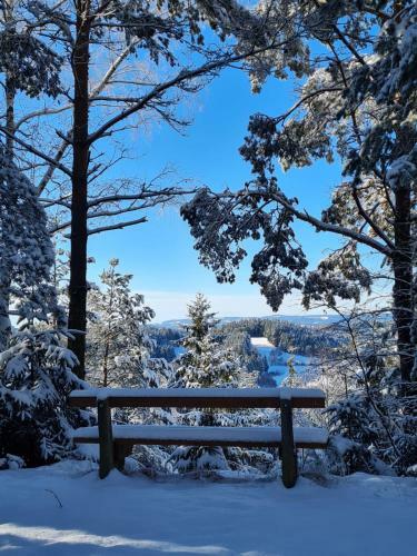 Bed & Breakfast G�stehaus Weitblick