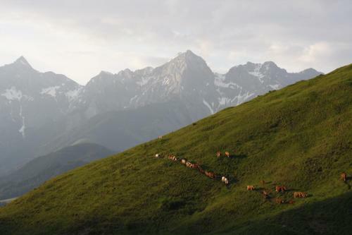 Apartamento Biobauernhof Jagglhof
