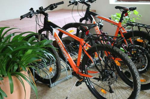 Apartamento Biohof Schmiedbauer