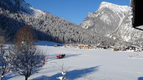 Apartamento Zenauerhof