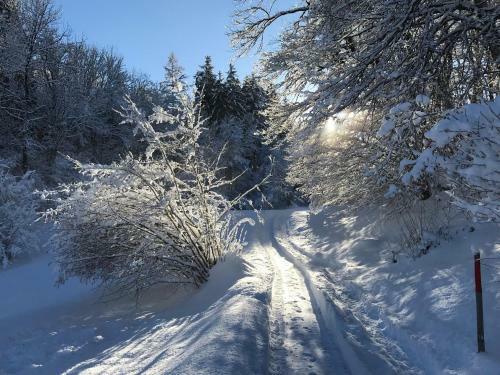 Apartamento Haus C�cilia