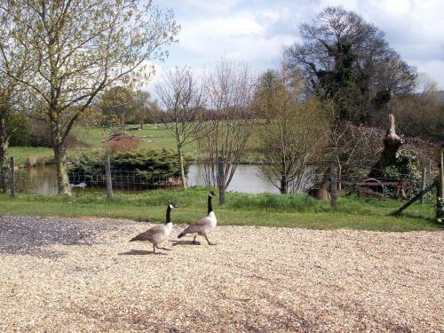 Agroturismo Lakeside Town Farm