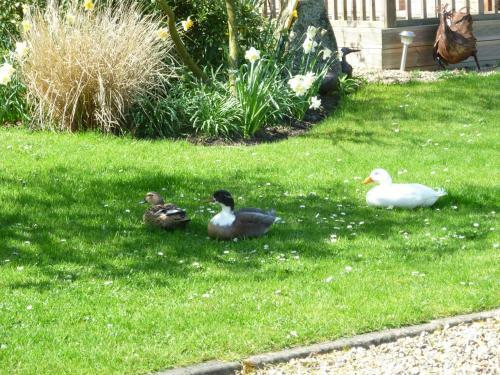 Agroturismo Lakeside Town Farm