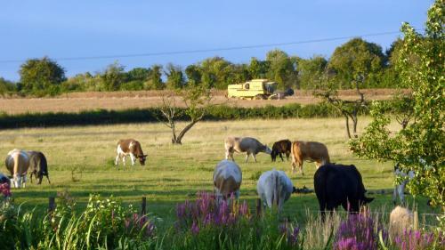 Agroturismo Lakeside Town Farm