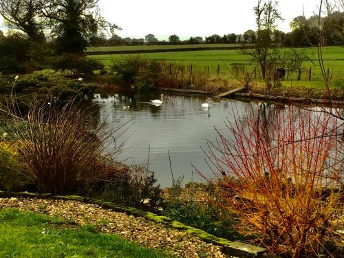 Agroturismo Lakeside Town Farm