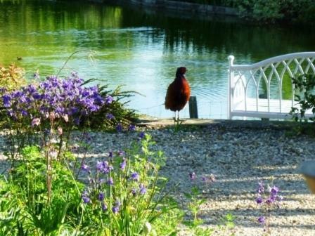 Agroturismo Lakeside Town Farm