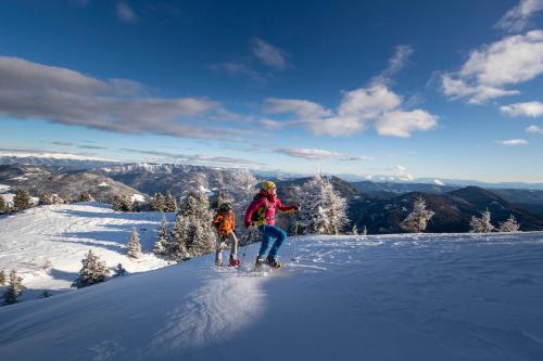 Luxury Chalet Kreischberg 11a