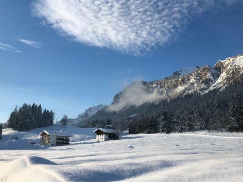 Apartamento Berghof Haselsberger Appartements
