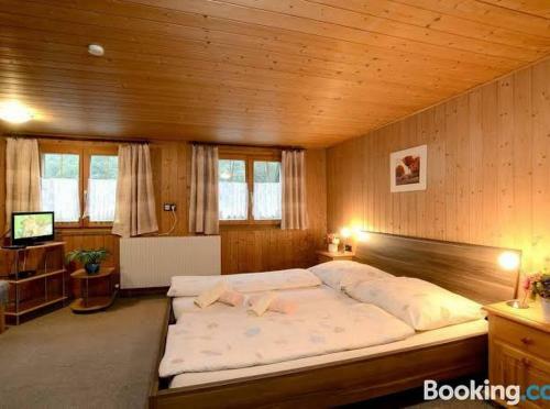 Hostal Gasthaus Montafonerh�sli