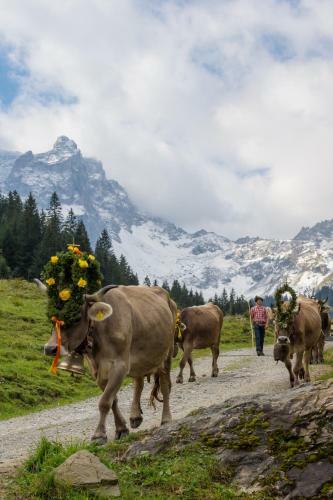 Ferienh�user Tschofen Garfrescha