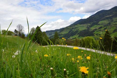 Apartamento Niederstallnhof