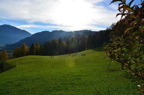 Apartamento Niederstallnhof