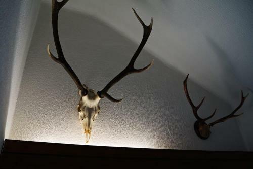 Hostal The Steakhouse&restaurant