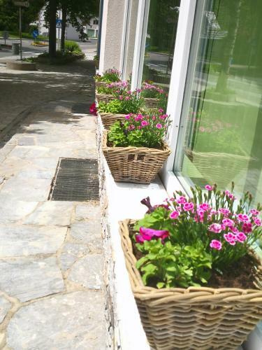 Hostal Alpinpelso