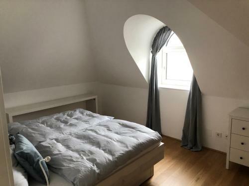 Apartamento Ceconi-loft Alice