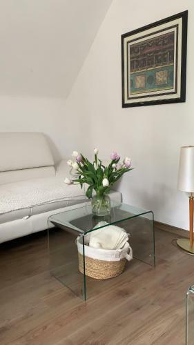 Apartment Ana