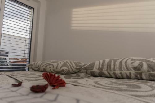 Apartment Villa Rigoletto