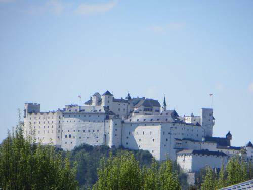 City Apartment Amadeus