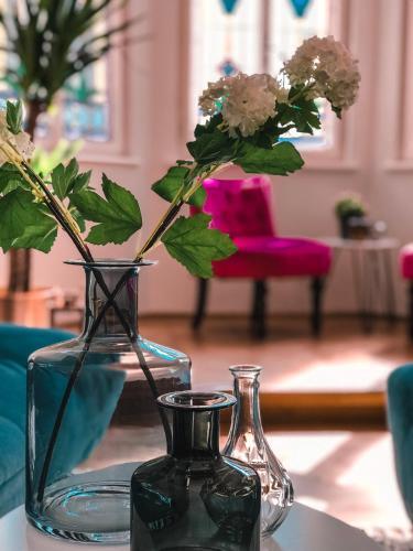 Luxury Apartment In Town