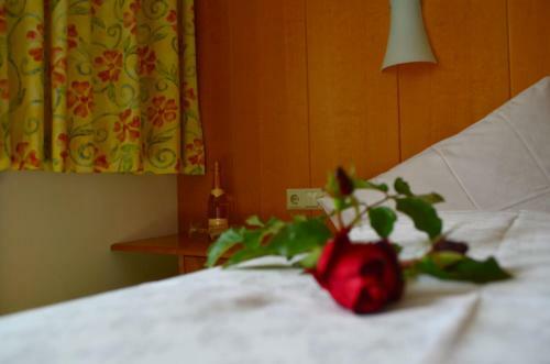 Bed & Breakfast Pension Vier Jahreszeiten