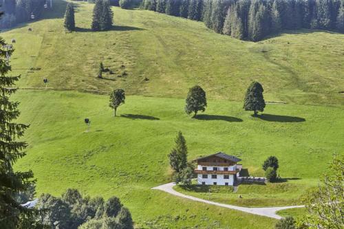 Apartamento Chalet Wallehen