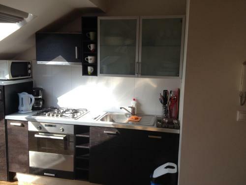 Penthouse Apartment In Vinohrady