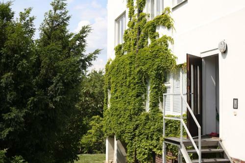 Apartamento A1flats