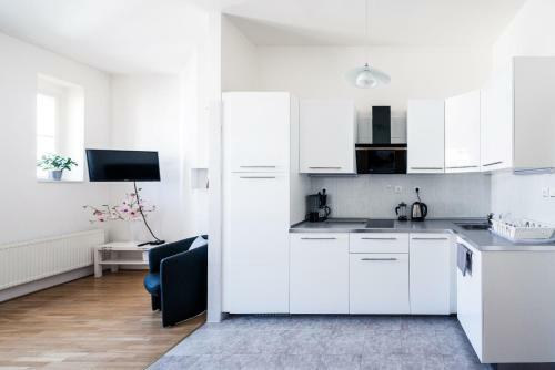 Modern Apartment Riegrovy Sady