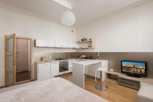 Apartment Eli?ky Kr�snohorsk�