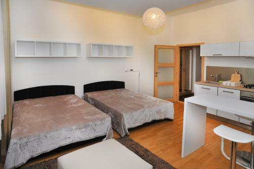 Apartment Eli?ky Kr�snohorsk�